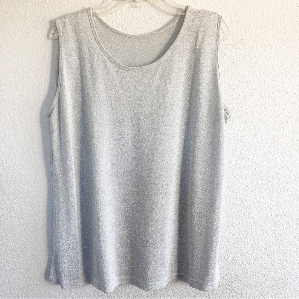 Gray Shimmer Crop Top Sz Medium